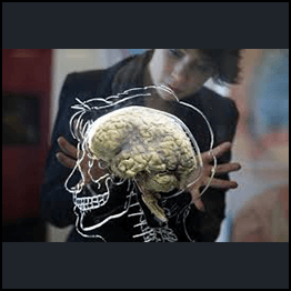 Barbara Tversky Phd - Mind in Motion: How Action Shapes Thought