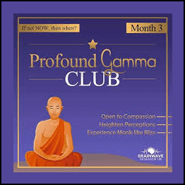 Brainwave Research UK - Profound Gamma Club
