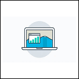 Business Analyst v2.0.0