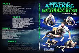 Gordon Ryan- Systematically Attacking the Turtle Position