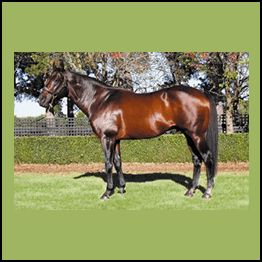 Jack Gillen – Astro View Horse Racing Show