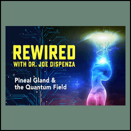 Joe Dispenza - Rewired Episode 10: Pineal Gland & the Quantum Field
