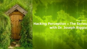 Joseph Riggio - Hacking Perception - The Series
