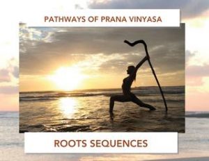 Shiva Rea - Elemental Pathway of Prana Vinyasa
