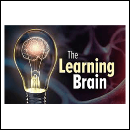 The Learning Brain
