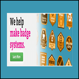 Badges Professional Writer