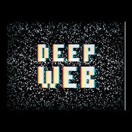 Deep Web Mastery - Mastering the dark web