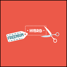 Ecommerce Premium Hybrid