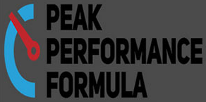 Ron Friedman - Peak Performance Formula - Webinar