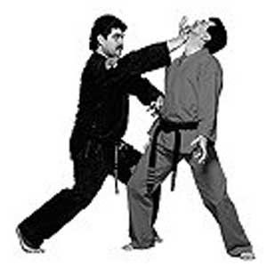 Mohamad Tabatabai - American Kenpo Karate