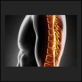 Adam Wolf - Thoracic Spine Assessment And Treatment