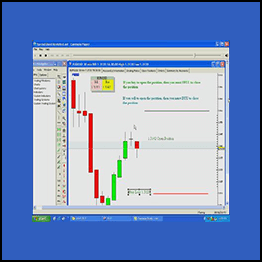 Amin Sadak - Forex Commander