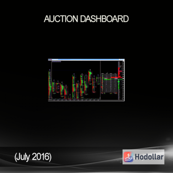 Auction Dashboard (July 2016)