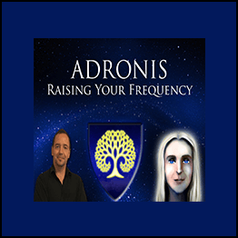 Brad Johnson - Adronis 4 Phase Courses