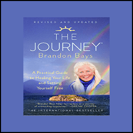 Brandon Bays-The Journey