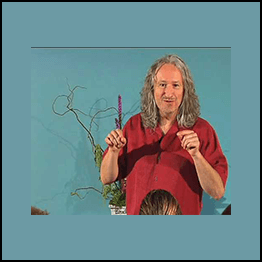 Dan Howard - Intentional Resting - Deep Rest