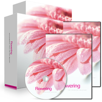 Holosync - Flowering Level 3&4