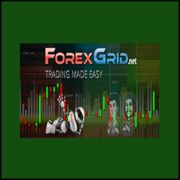 Forex Grid Mentoring Program
