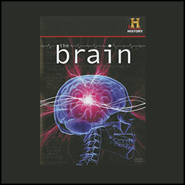 History Channel - The Brain