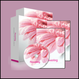 Holosync - Flowering Level 1&2
