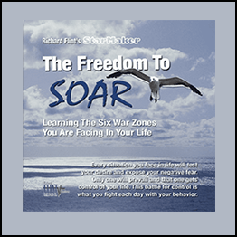 Richard Flint - The Freedom To Soar