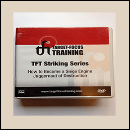 Target-Focus Training - Striking