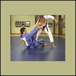 This instructional set of 6 DVD’s will redefine your perception of Brazilian Jiu-Jitsu