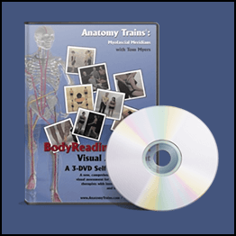 Tom Myers - Bodyreading 101 - 2 Of 3