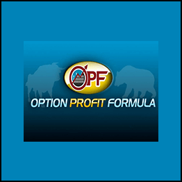 Travis Wilkerson - How To Trade Stock Options - Profiting In Up And Down Markets