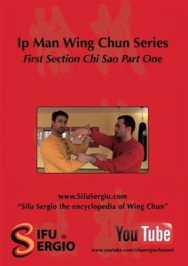 Wing Tjun - Sifu Sergio Iadorola - Section One Chi Sao Part 1