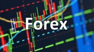 Fine Forex Robot (Unlocked)