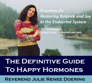 Julie Renee - The definitive guide to meditation Series
