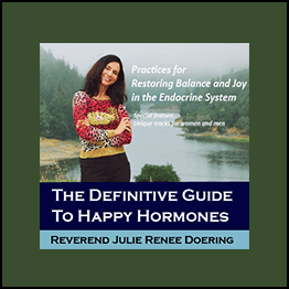 Julie Renee - The definitive guide to meditation Series
