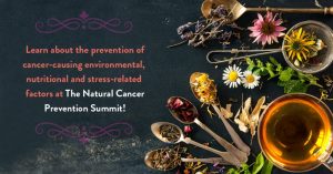 Natural Cancer Prevention Summit