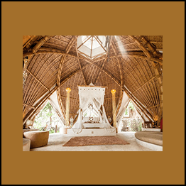Sacred Geometry and Bio-Architecture (Copy)