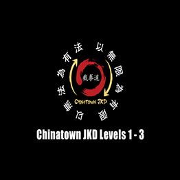 Chinatown Jeet Kune Do Lessons Levels 1 - 3