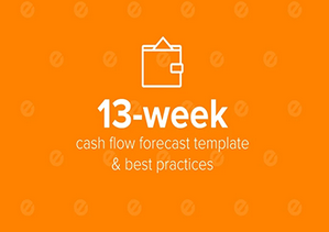 The 13-Week Cash Flow Model 