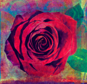 Jan Phillips - Creativity Unzipped 2016