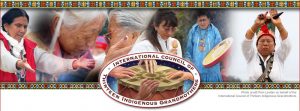 The Wisdom of the Grandmothers