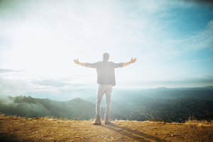 Chris Harder - The Money Principle E-Course