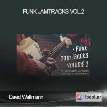 David Wallimann - FUNK JAMTRACKS VOL.2