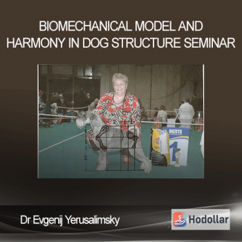 Dr Evgenij Yerusalimsky - BioMechanical Model and Harmony in Dog Structure seminar
