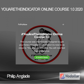 Philip Anglade - YouAreTheIndicator Online Course 1.0 2020