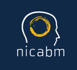 NICABM - Treating Trauma Master Series 2017