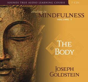 Joseph Goldstein - Abiding in Mindfulness Volumes 1 - 3