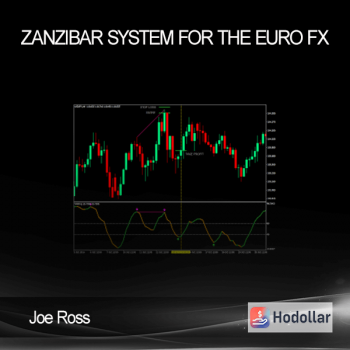 Joe Ross - Zanzibar System for the Euro Fx