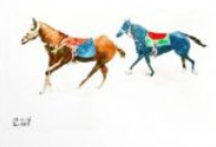 Jack Gillen - Astro View Horse Racing Show (Audio CD)