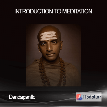 Dandapanillc - Introduction to Meditation