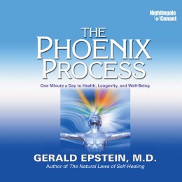 Gerald Epstein - The Phoenix Process