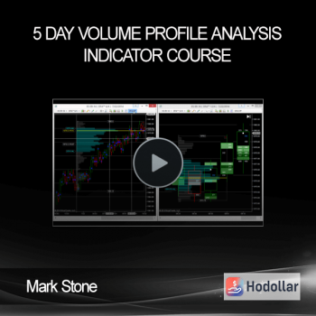 Mark Stone - 5 Day Volume Profile Analysis Indicator Course